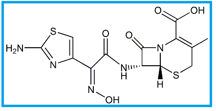 CEFDINIR 3-METHYL IMPURITY (USP)